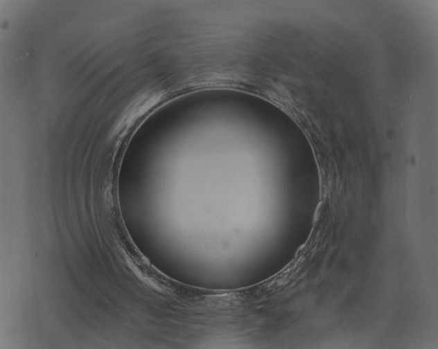 X0000073710050200608171148