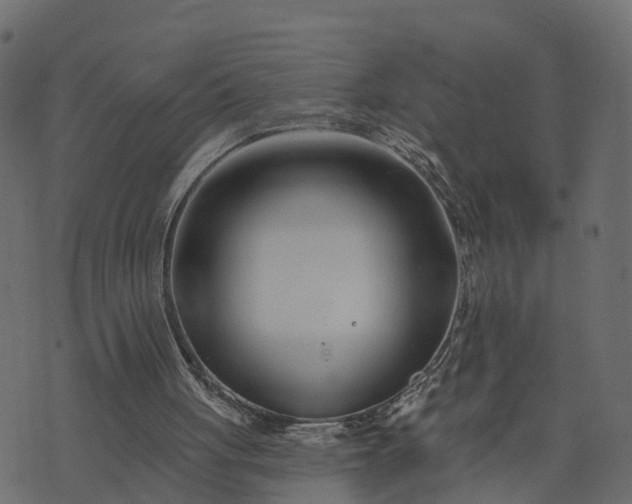 X0000073710051200608171148