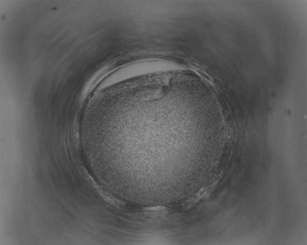 X0000073710053200608171148