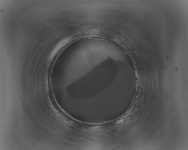 X0000073710054200608171148