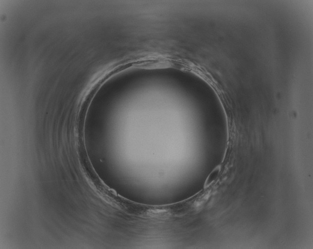 X0000073710055200608171148