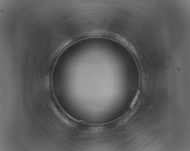 X0000073710057200608171148