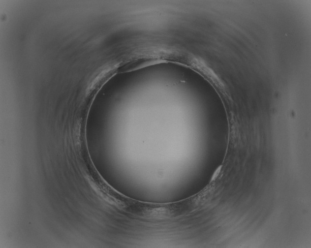 X0000073710058200608171148