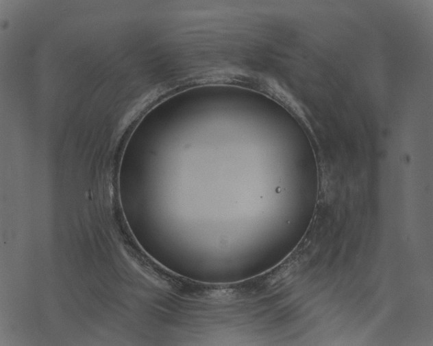 X0000073710059200608171148