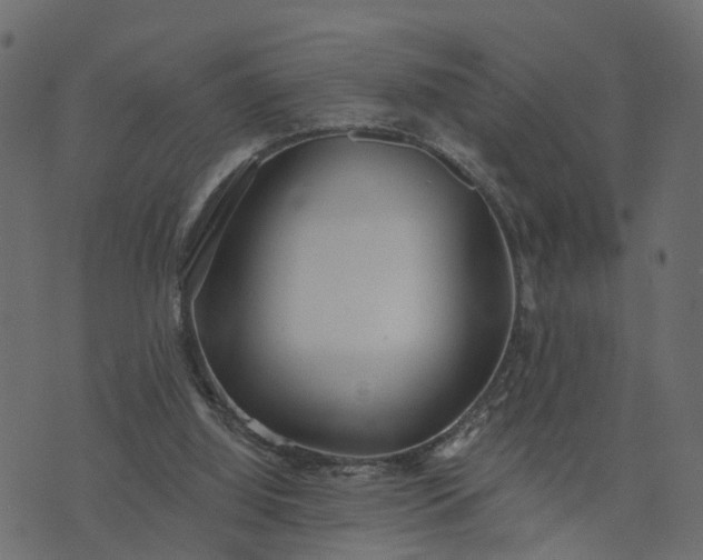 X0000073710060200608171148