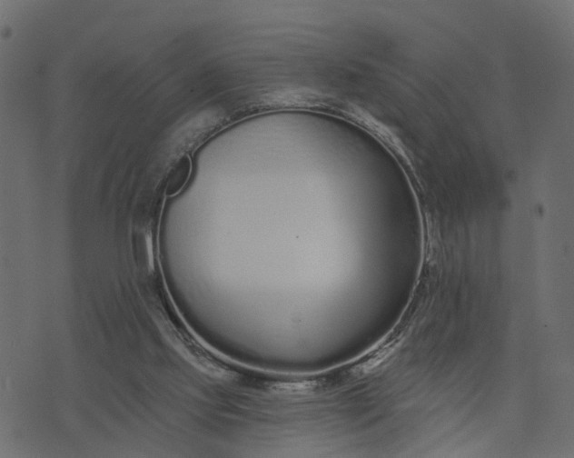 X0000073710061200608171148