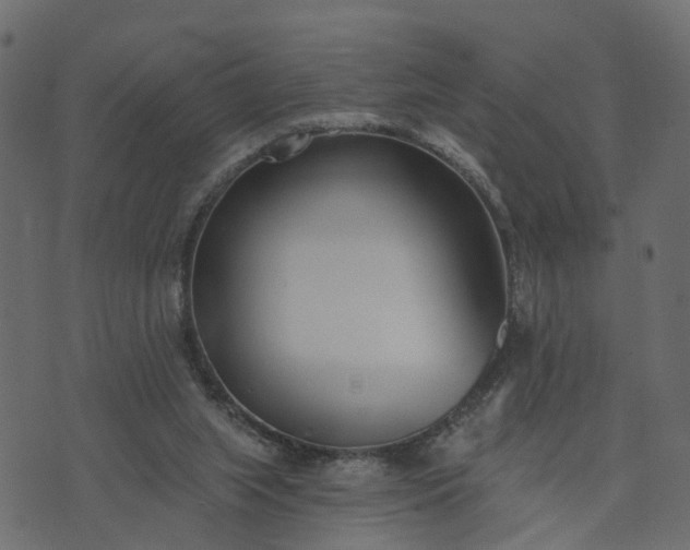 X0000073710063200608171148