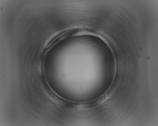 X0000073710064200608171148