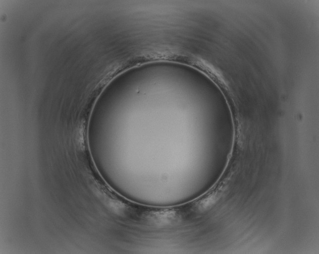 X0000073710065200608171148