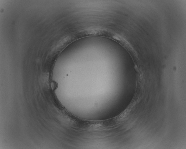 X0000073710066200608171148