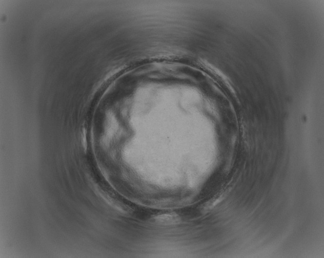 X0000073710067200608171148