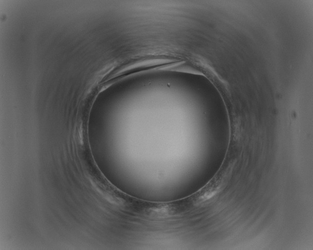 X0000073710068200608171148