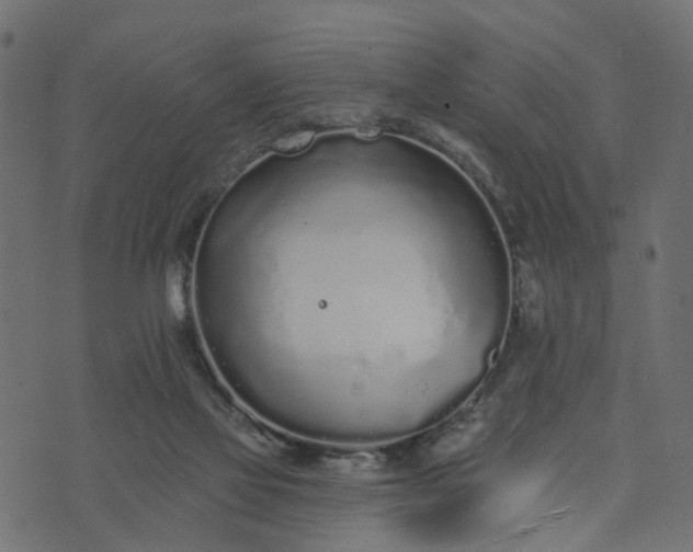 X0000073710069200608171148