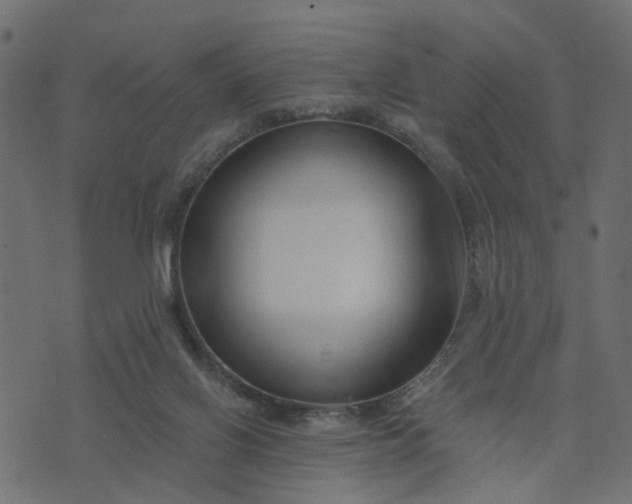 X0000073710070200608171148