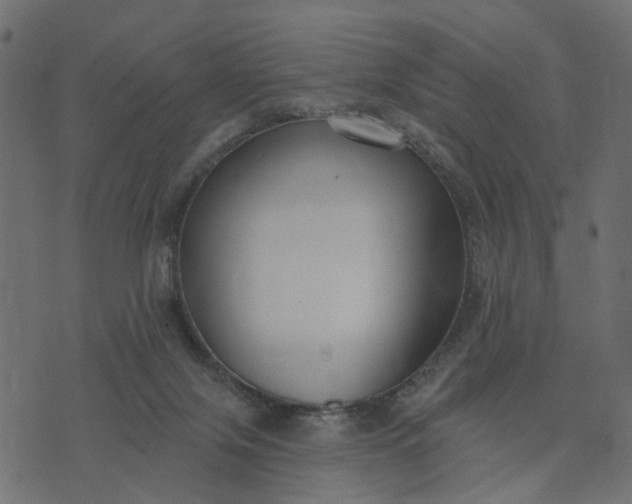 X0000073710071200608171149