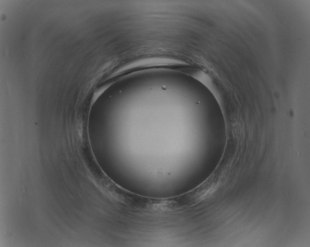 X0000073710072200608171149