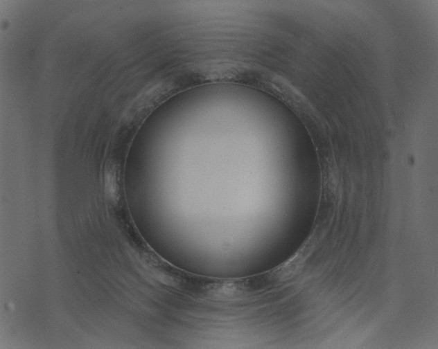 X0000073710074200608171149