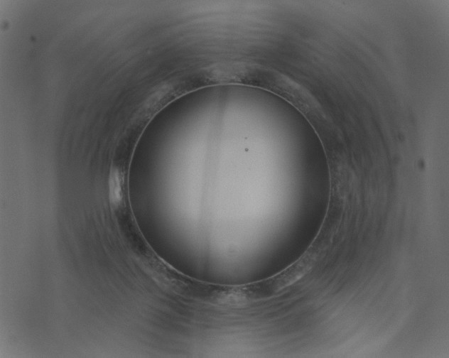 X0000073710075200608171149