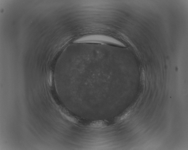 X0000073710076200608171149