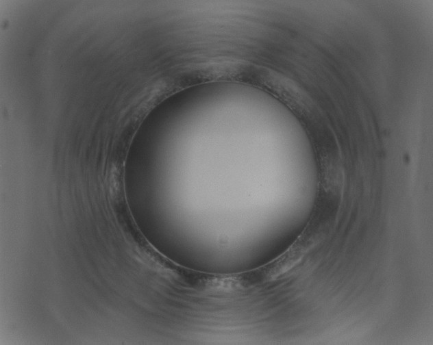 X0000073710077200608171149