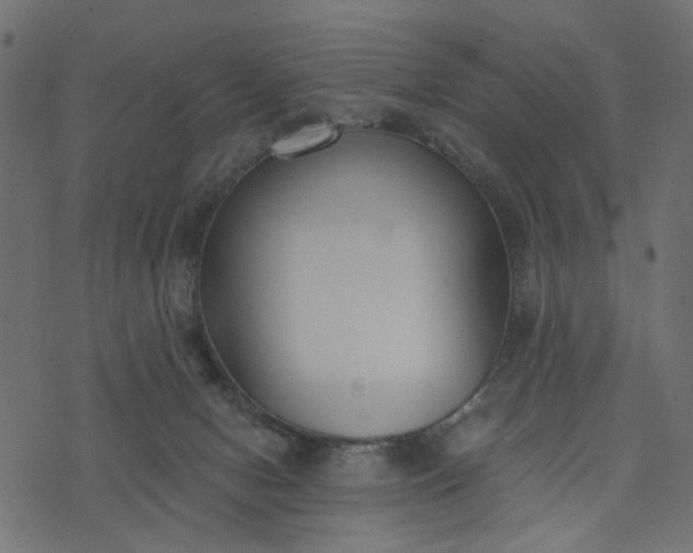 X0000073710078200608171149