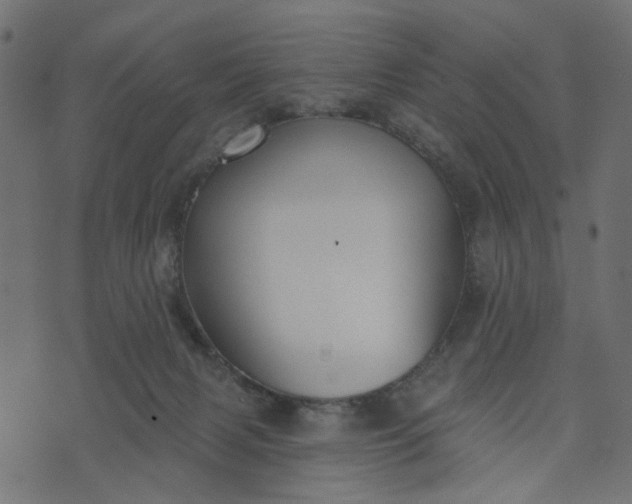 X0000073710079200608171149