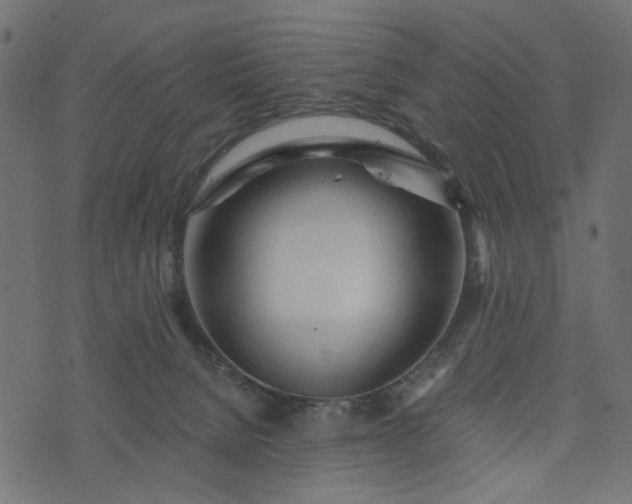 X0000073710080200608171149