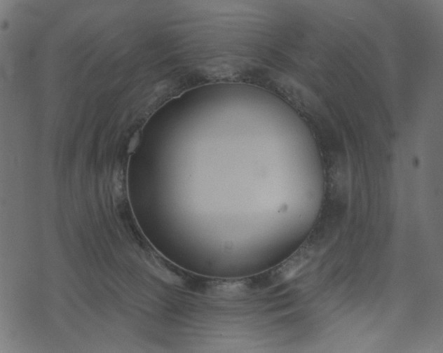 X0000073710081200608171149