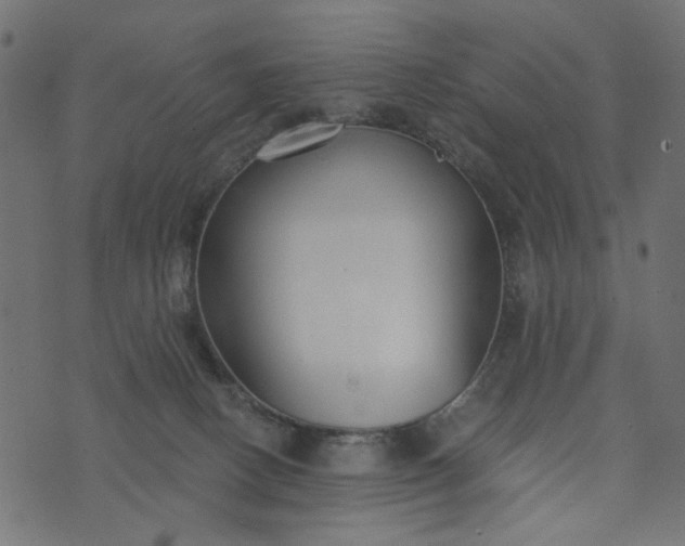 X0000073710082200608171149