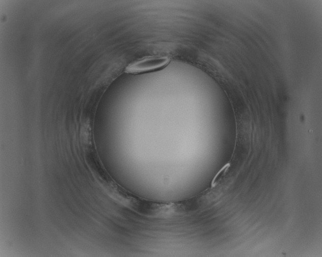 X0000073710083200608171149