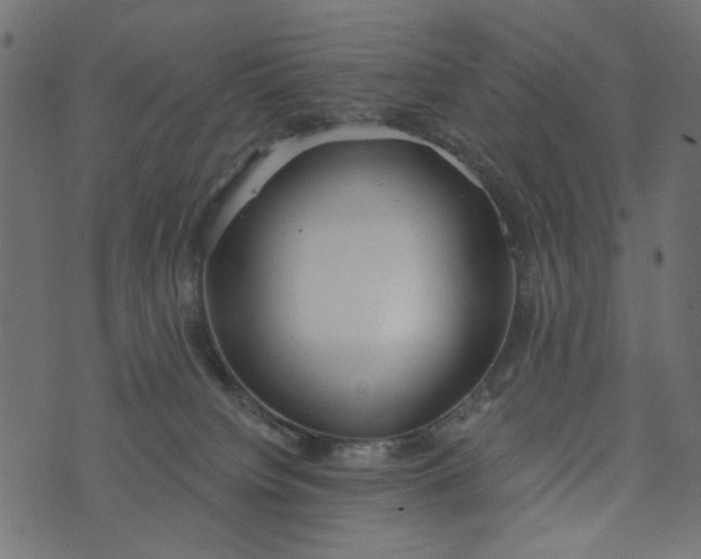 X0000073710084200608171149