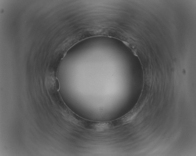 X0000073710085200608171149