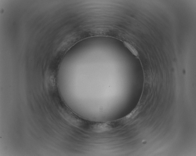 X0000073710086200608171149