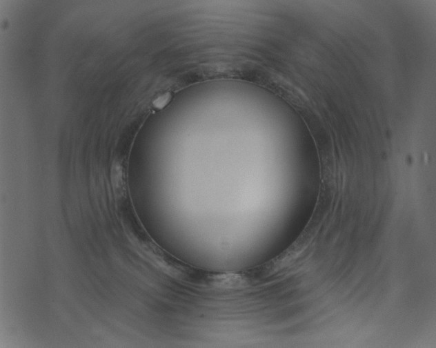 X0000073710087200608171149