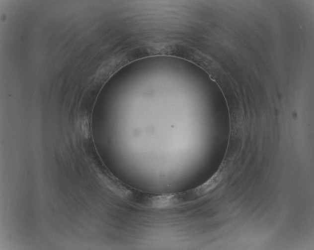 X0000073710090200608171149