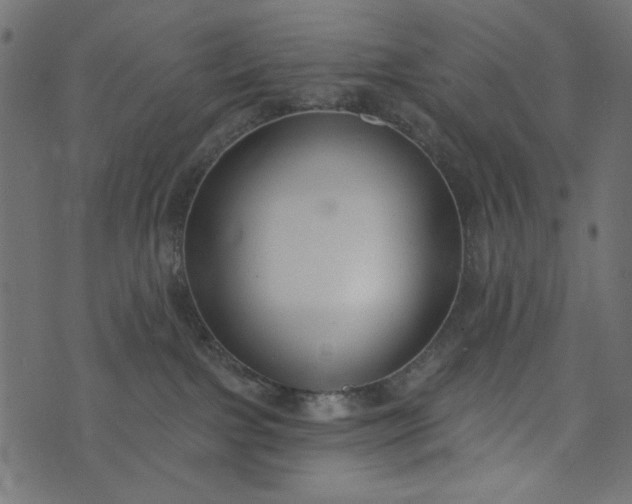 X0000073710091200608171149