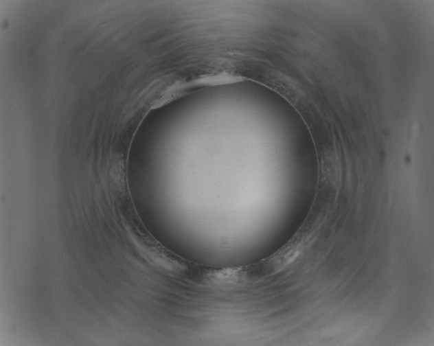 X0000073710092200608171149