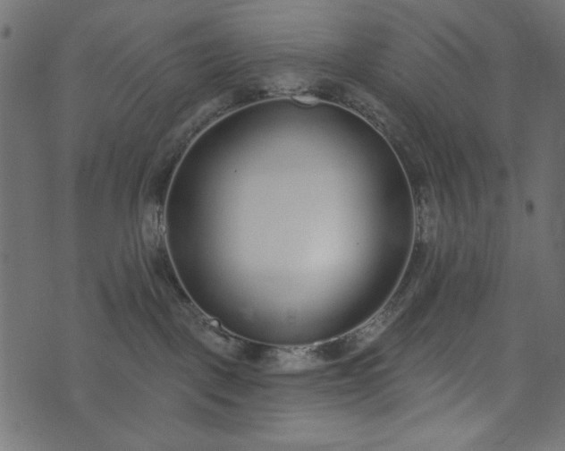 X0000073710093200608171149