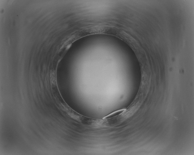 X0000073710096200608171149