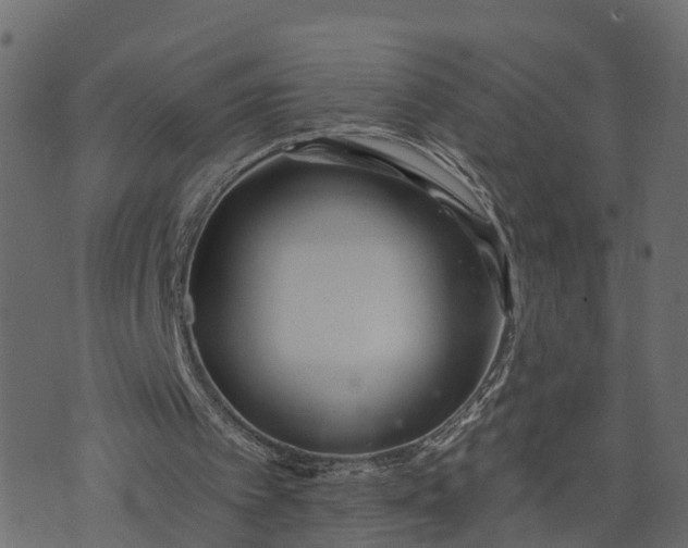 X0000073710097200608171148