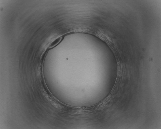 X0000073710098200608171148