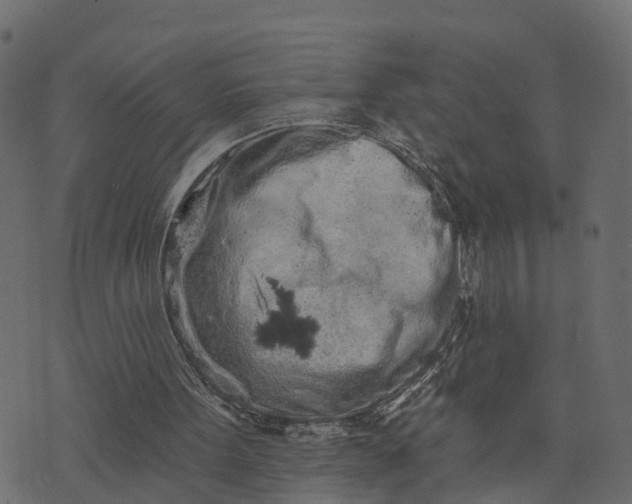 X0000073710099200608171148