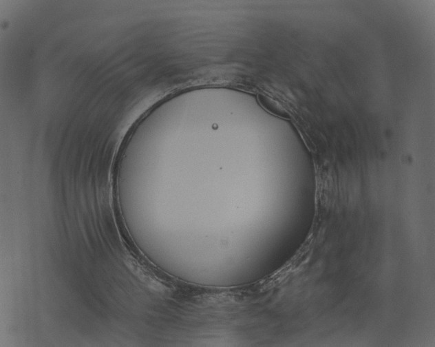 X0000073710100200608171148