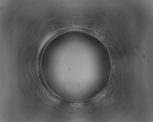 X0000073710102200608171148