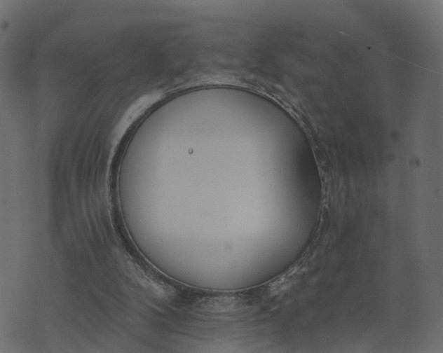 X0000073710104200608171148