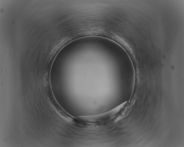 X0000073710105200608171148