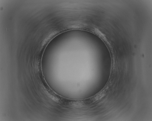 X0000073710106200608171148