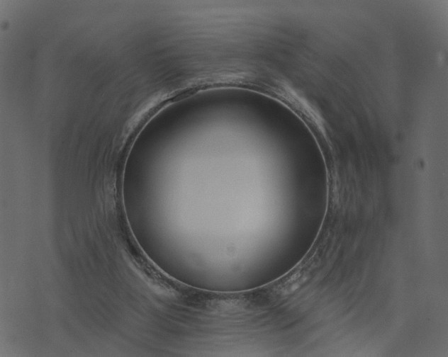 X0000073710107200608171148