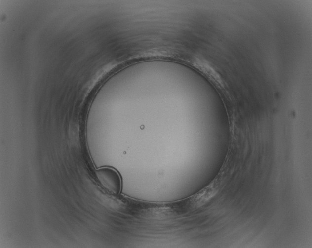 X0000073710108200608171148