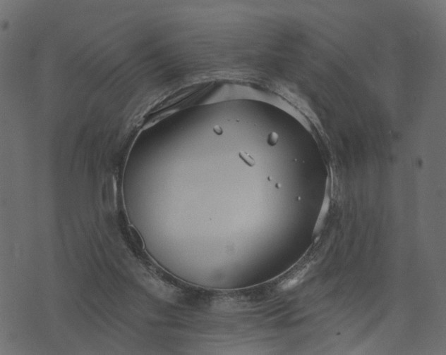 X0000073710109200608171148